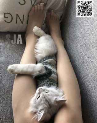 丰满的继牳2_BD英语全集在线观看